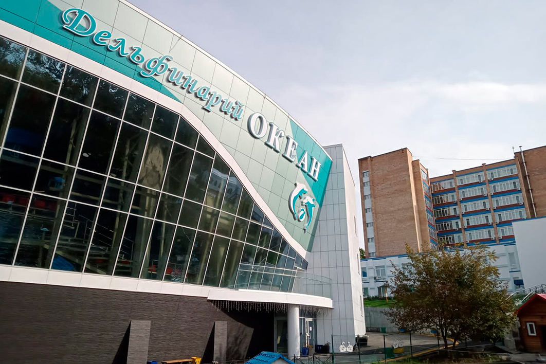 Дельфинарий Медицинского центра ОКЕАН открыт для посещений!
